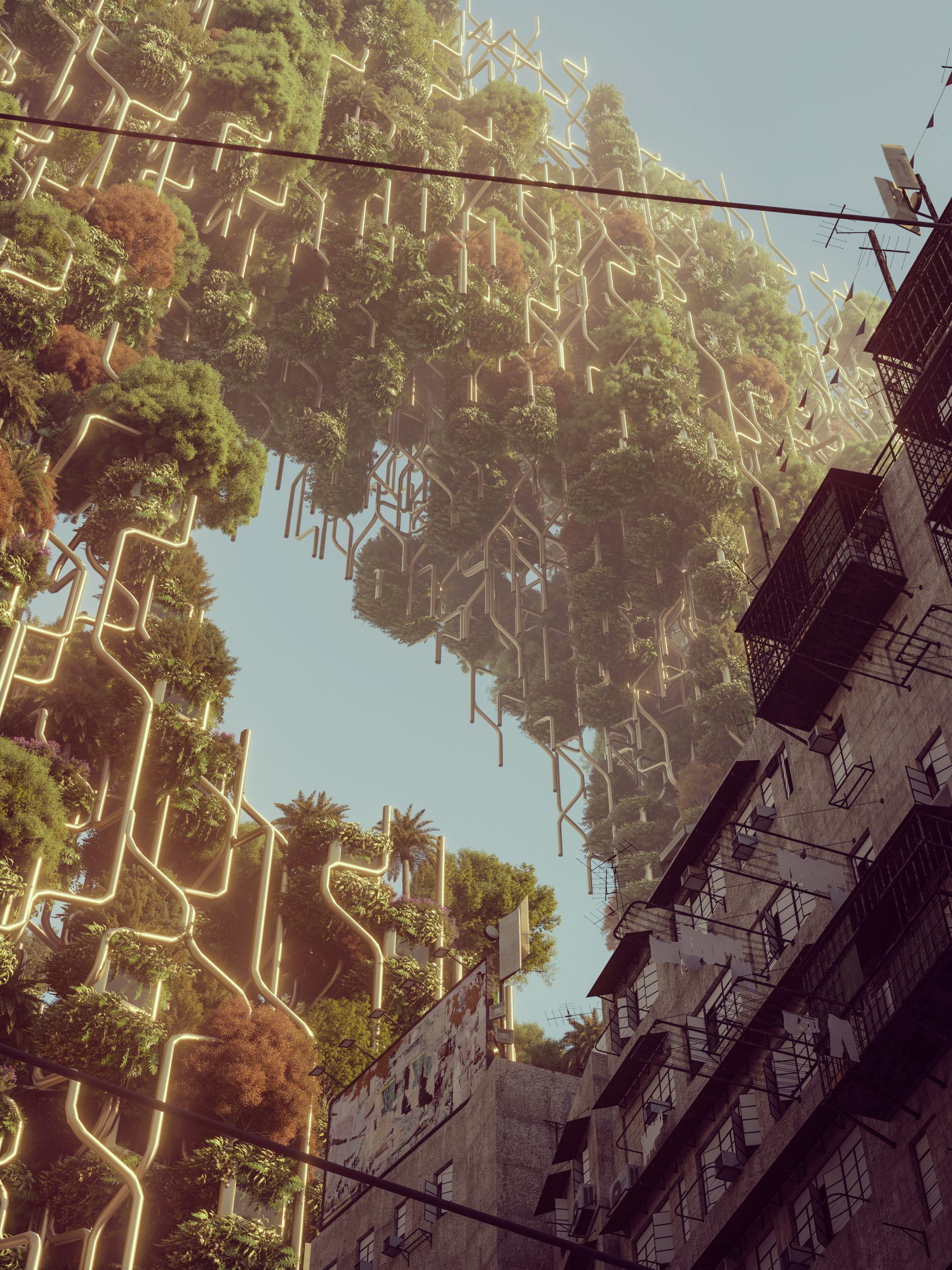 Blsakova_Monoceros_Macao_08