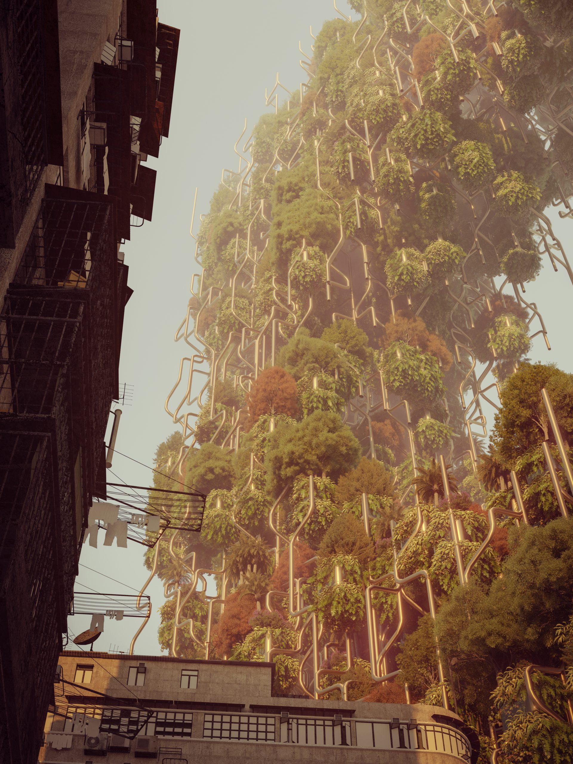 Blsakova_Monoceros_Macao_09